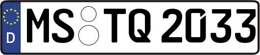 MS-TQ2033