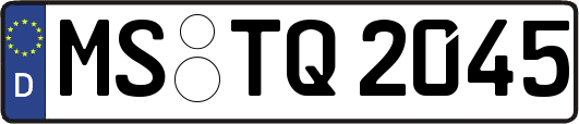 MS-TQ2045