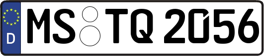 MS-TQ2056
