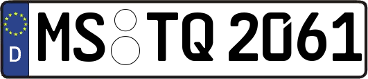 MS-TQ2061