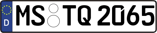 MS-TQ2065