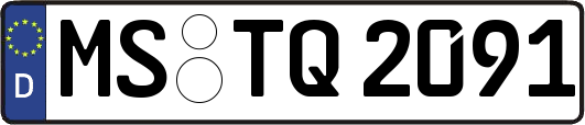 MS-TQ2091