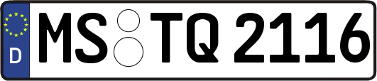 MS-TQ2116
