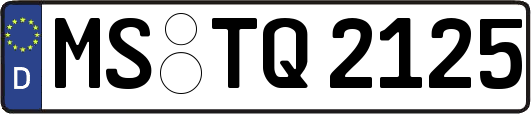MS-TQ2125