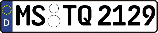 MS-TQ2129