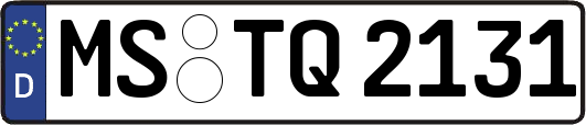 MS-TQ2131