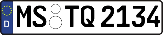 MS-TQ2134