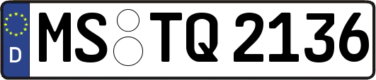 MS-TQ2136