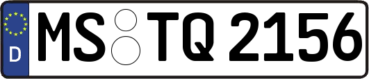 MS-TQ2156