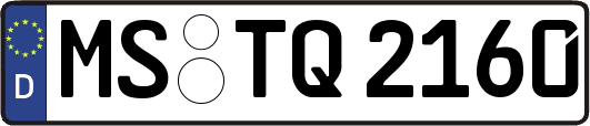 MS-TQ2160