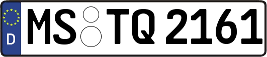 MS-TQ2161