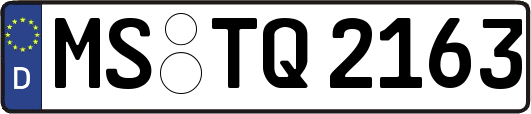 MS-TQ2163
