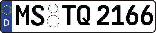 MS-TQ2166