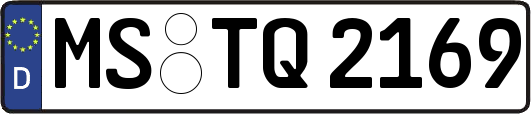 MS-TQ2169