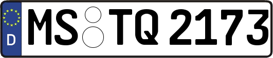 MS-TQ2173