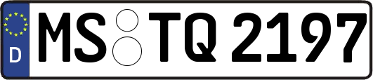 MS-TQ2197