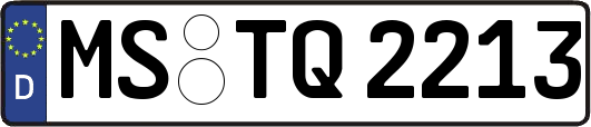 MS-TQ2213
