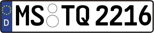 MS-TQ2216