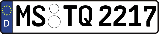 MS-TQ2217