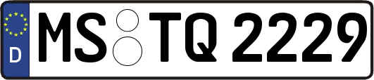 MS-TQ2229