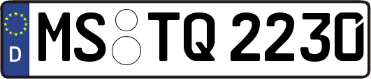 MS-TQ2230