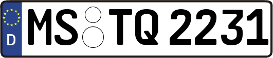 MS-TQ2231