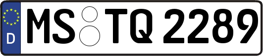 MS-TQ2289
