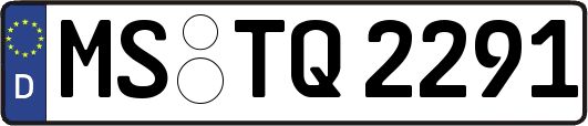 MS-TQ2291