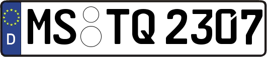 MS-TQ2307