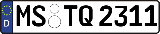 MS-TQ2311