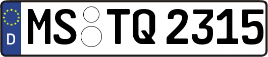 MS-TQ2315