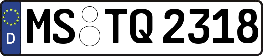 MS-TQ2318