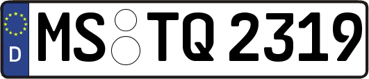 MS-TQ2319