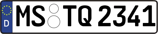 MS-TQ2341