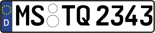 MS-TQ2343