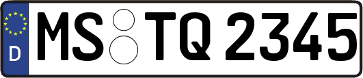 MS-TQ2345