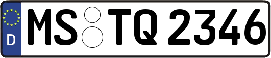 MS-TQ2346
