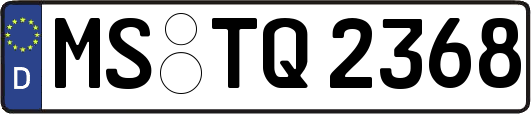 MS-TQ2368