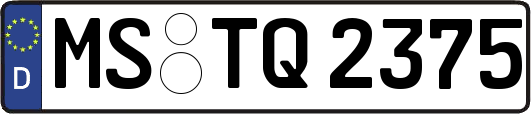 MS-TQ2375
