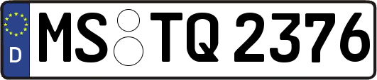 MS-TQ2376