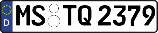 MS-TQ2379