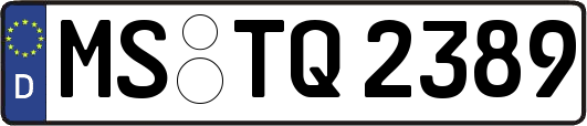 MS-TQ2389