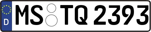 MS-TQ2393