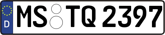 MS-TQ2397