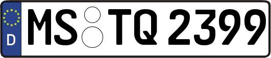 MS-TQ2399