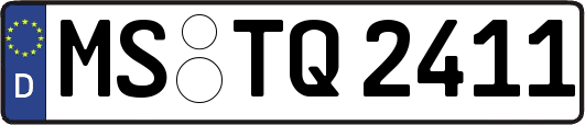 MS-TQ2411