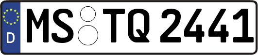 MS-TQ2441