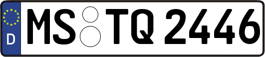 MS-TQ2446