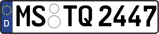 MS-TQ2447