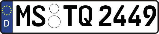 MS-TQ2449